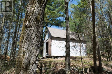 1800 BEAR CAVE ROAD Muskoka Lakes (Cardwell) Ontario photo 2