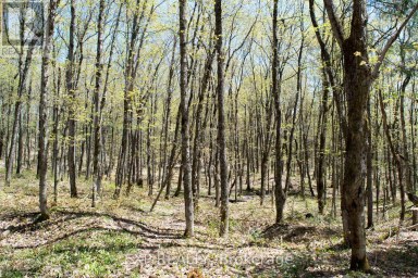 1800 BEAR CAVE ROAD Muskoka Lakes (Cardwell) Ontario photo 3