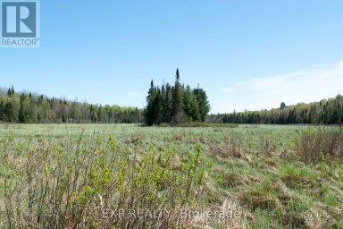 1800 BEAR CAVE ROAD Muskoka Lakes (Cardwell) Ontario photo 4