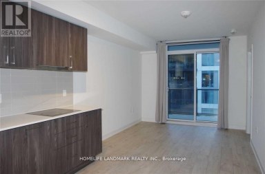 1113 - 27 BATHURST STREET Toronto (Waterfront Communities) Ontario photo 8