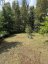 21508A HIGHWAY 41, Addington Highlands (addington Highlands), Ontario, K0H1L0 (ID X13466146)