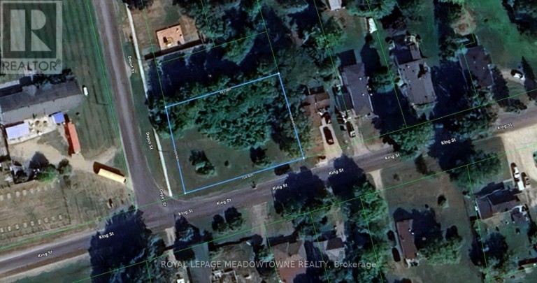 29 DEPOT STREET, Adjala-Tosorontio (Lisle), Ontario, L0M1M0