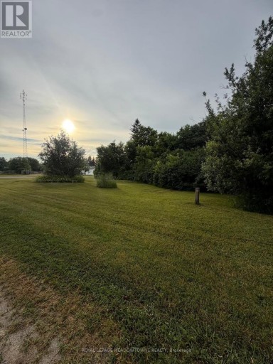 29 DEPOT STREET, Adjala-Tosorontio (Lisle), Ontario, L0M1M0
