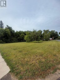 29 DEPOT STREET Adjala-Tosorontio (Lisle) Ontario photo 5