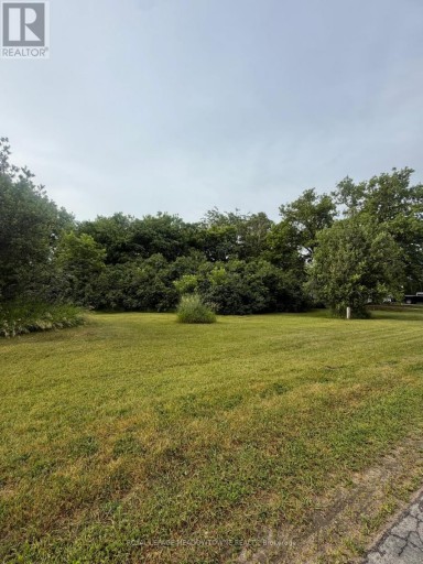 29 DEPOT STREET, Adjala-Tosorontio (Lisle), Ontario, L0M1M0