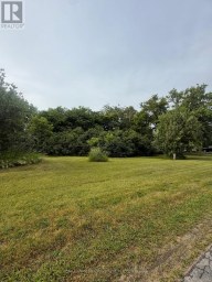 29 DEPOT STREET Adjala-Tosorontio (Lisle) Ontario photo 6