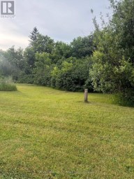 29 DEPOT STREET Adjala-Tosorontio (Lisle) Ontario photo 7