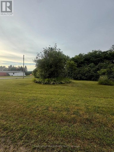 29 DEPOT STREET, Adjala-Tosorontio (Lisle), Ontario, L0M1M0