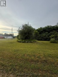 29 DEPOT STREET Adjala-Tosorontio (Lisle) Ontario photo 8