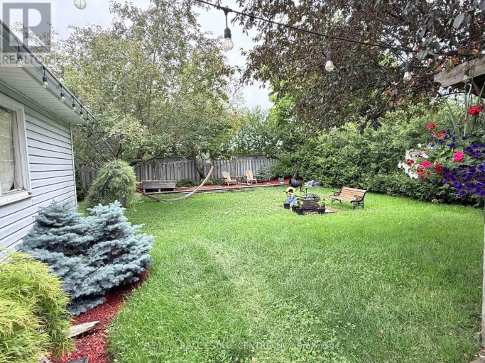 BASEMENT - 18 MACKENZIE DRIVE, Halton Hills (Georgetown), Ontario, L7G4B9