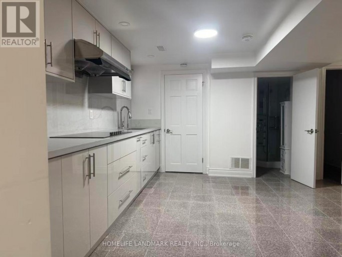 BASEMENT - 339 ELMWOOD AVENUE, Richmond Hill (Harding), Ontario, L4C1L7