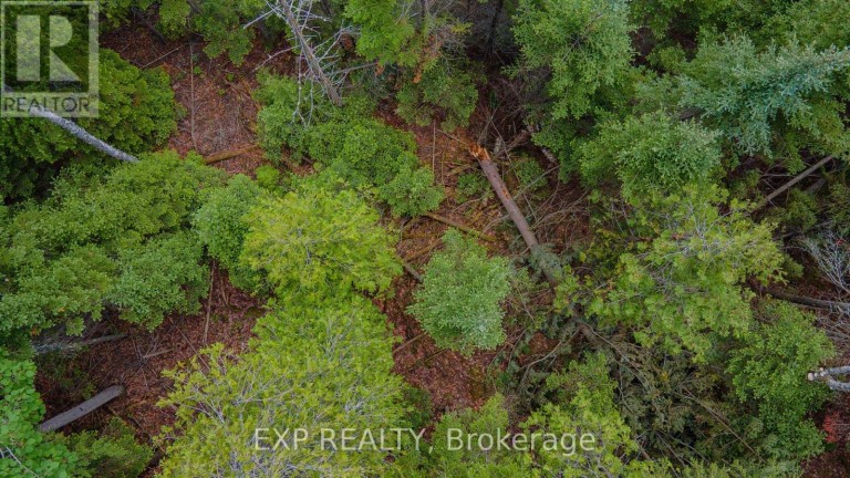 B LOT ARBOR VITAE ROAD, Madawaska Valley, Ontario, K0J1B0
