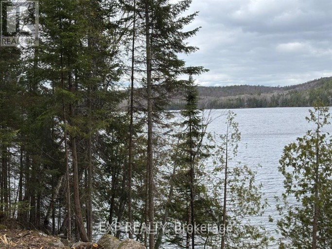 B LOT ARBOR VITAE ROAD, Madawaska Valley, Ontario, K0J1B0