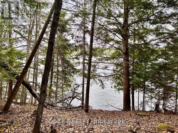 B LOT ARBOR VITAE ROAD, Madawaska Valley, Ontario, K0J1B0