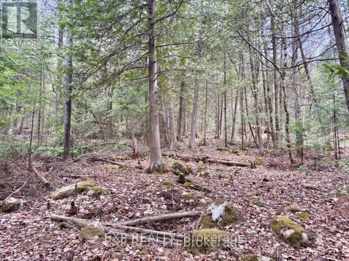B LOT ARBOR VITAE ROAD, Madawaska Valley, Ontario, K0J1B0
