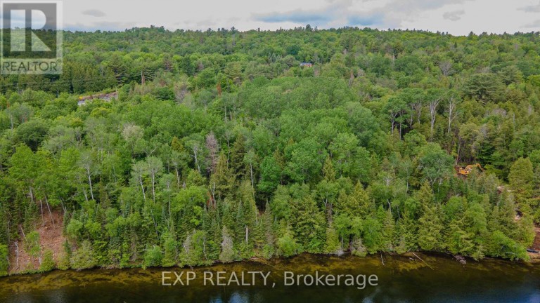 B LOT ARBOR VITAE ROAD, Madawaska Valley, Ontario, K0J1B0