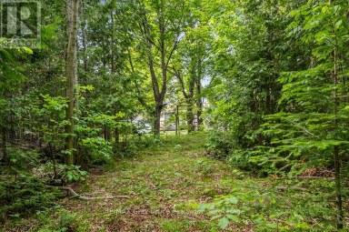 335 PIKE BAY ROAD Northern Bruce Peninsula Ontario photo 29