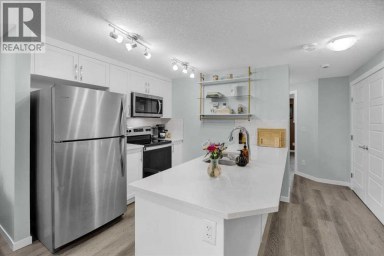 216, 474 Seton Circle SE Calgary Alberta photo 1