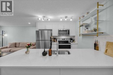 216, 474 Seton Circle SE Calgary Alberta photo 6