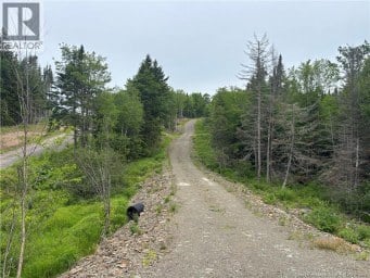 198 acres Damascus Road Damascus New Brunswick photo 10