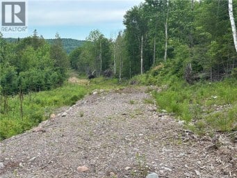 198 acres Damascus Road Damascus New Brunswick photo 11