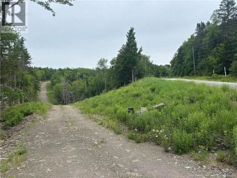 198 acres Damascus Road Damascus New Brunswick photo 14