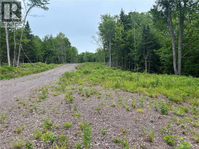 198 acres Damascus Road, Damascus, New Brunswick, E5N4A6