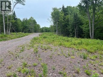 198 acres Damascus Road Damascus New Brunswick photo 18