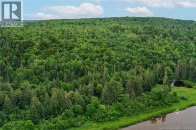 198 acres Damascus Road Damascus New Brunswick photo 22