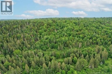 198 acres Damascus Road Damascus New Brunswick photo 24