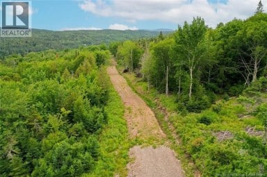198 acres Damascus Road Damascus New Brunswick photo 5
