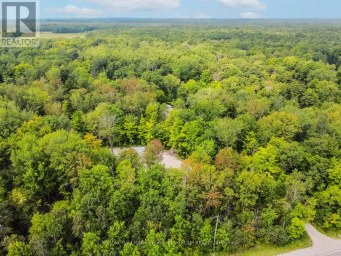 7012 COUNTY ROAD 169 Ramara Ontario photo 11