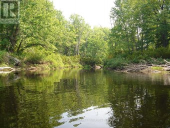 7012 COUNTY ROAD 169 Ramara Ontario photo 12