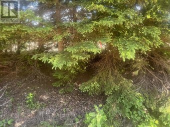 26-2 Buffalo Road Wheatley River Prince Edward Island photo 15