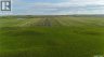 Leaman Farm, Chaplin Rm No. 164, Saskatchewan, S0H0V0 (ID SK040227)