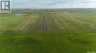 Leaman Farm, Chaplin Rm No. 164, Saskatchewan, S0H0V0 (ID SK040227)