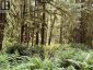 7425 SECHELT INLET ROAD, Sechelt, British Columbia, V7Z0C7 (ID R3138714)
