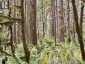 7425 SECHELT INLET ROAD, Sechelt, British Columbia, V7Z0C7 (ID R3138714)