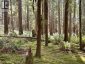 7425 SECHELT INLET ROAD, Sechelt, British Columbia, V7Z0C7 (ID R3138714)