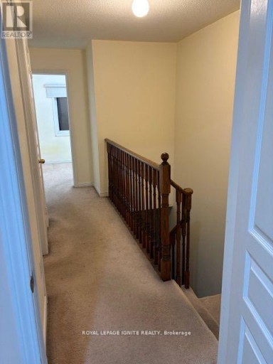 11 CURRAN HALL CRESCENT, Toronto (Morningside), Ontario, M1G0A1