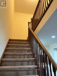 11 CURRAN HALL CRESCENT Toronto (Morningside) Ontario photo 33