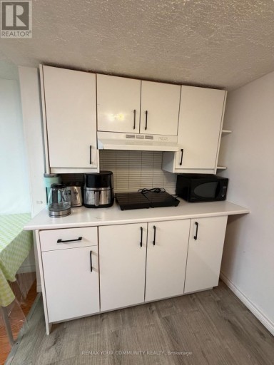 BSMNT - 101 SPRINGHEAD GARDENS, Richmond Hill (North Richvale), Ontario, L4C5C3