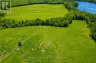 2386 60 HIGHWAY, Lake Of Bays (franklin), Ontario, P1H2E5 (ID X13485936)