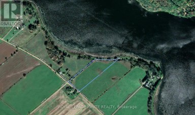 358 FAUGHT ROAD Whitewater Region Ontario photo 10