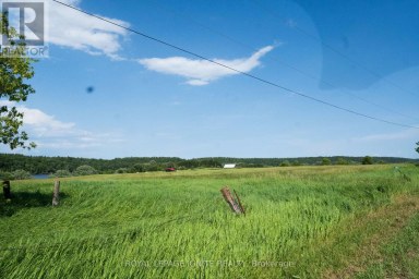358 FAUGHT ROAD Whitewater Region Ontario photo 6