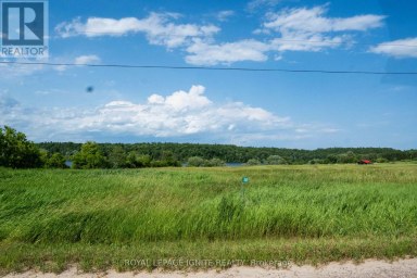 358 FAUGHT ROAD Whitewater Region Ontario photo 7