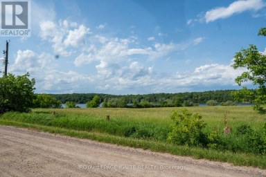 358 FAUGHT ROAD Whitewater Region Ontario photo 8