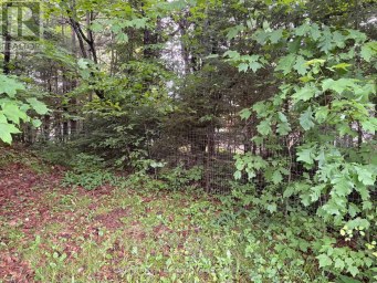 2197 STISTED ROAD S McMurrich/Monteith (Sprucedale) Ontario photo 4