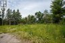 00 REID STREET, Kawartha Lakes (bobcaygeon), Ontario, K0M1A0 (ID X13490742)