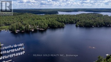 6 FIRE ROUTE 278 Trent Lakes Ontario photo 41